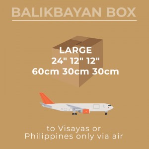 Air Large Visayas Mindanao