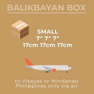 Air Small Visayas Mindanao